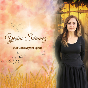 Dün Gece Seyrim İçinde