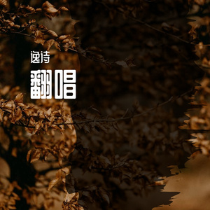 不要忘记我爱你