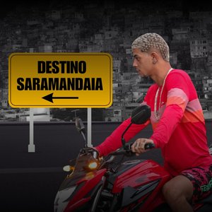 Destino Saramandaia