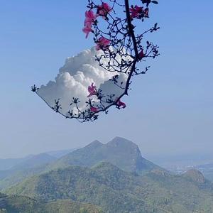 若生命等待(0.8x)