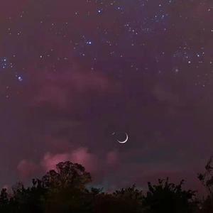 星星失眠（Cover：哈利）