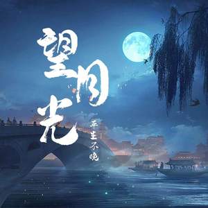 望月光 (DJ默涵版)