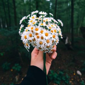 大树会拥抱_96khz_24bit