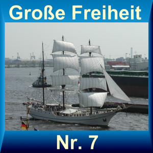 Furiant (Aus "Die Verkaufte Braut")