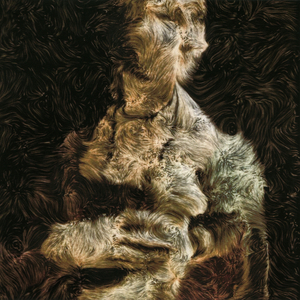 Twinny (with Bert Cools, Dries Laheye & Stijn Cools)