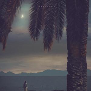 여름밤의 야상곡