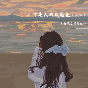 你是我的玫瑰花（Live）