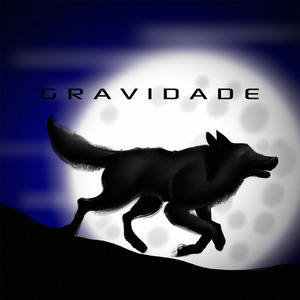 Gravidade