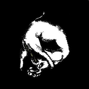 Shit Stains on my Balenci