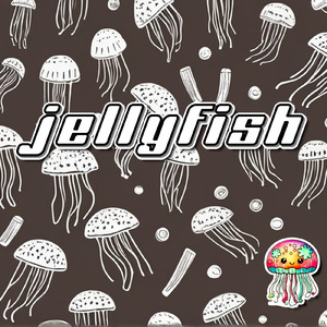 Jellyfish