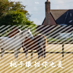 爱乐之城重新编曲