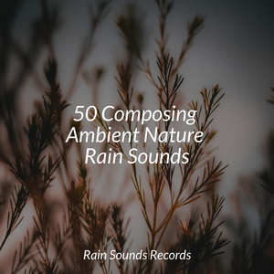 Whispered Secrets of Thunder