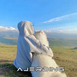 Художник （AJERDING remix）