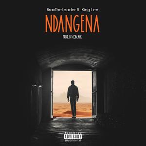 Ndangena (feat. King Lee)