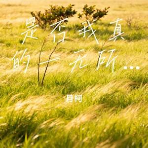 是否我真的一无所有 (Cover 王杰)
