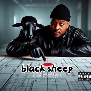 Blacksheep