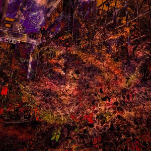 NOPROMO.wav (feat. Lovefrancïs)