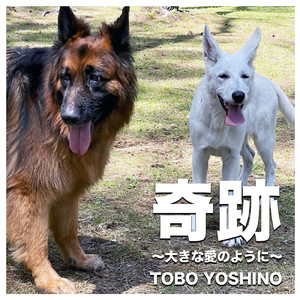 奇跡 ～大きな愛のように～ (Cover)