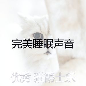 温和小猫梦想