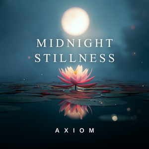 Midnight Stillness