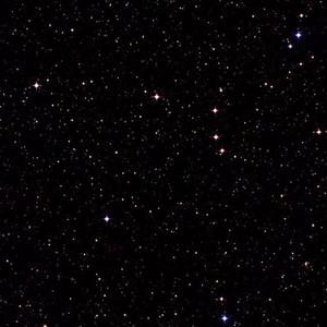 我知道自己会输