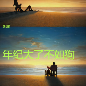年纪大了不如狗