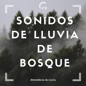 Sonidos de lluvia
