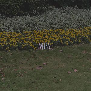 miss.