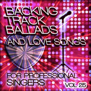 You'll Never Find Another Love Like Mine (Originally Performed by Stevie Wonder) [Karaoke Version]
