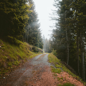 Homenick Greens Kerp