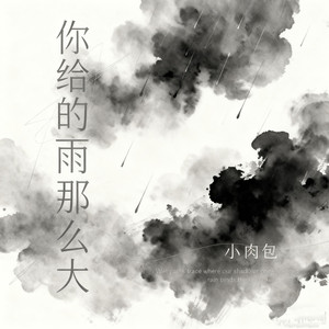 你给的雨那么大