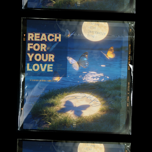 Reach For Your Love