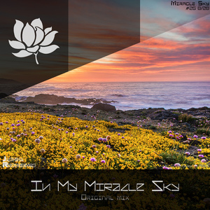 In My Miracle Sky