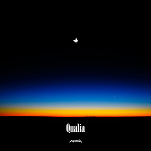 Qualia