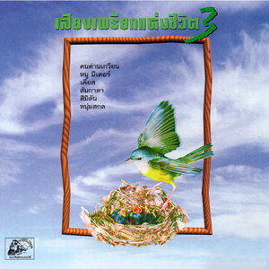 ขอหมอนใบนั้นที่เธอฝันยามหนุน_หนู มิเตอร์