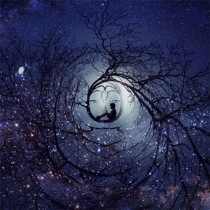 Burst Into Bloom RE