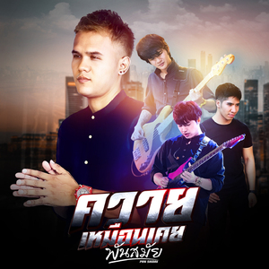 ควายเหมือนเคย