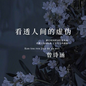 看透人间的虚伪