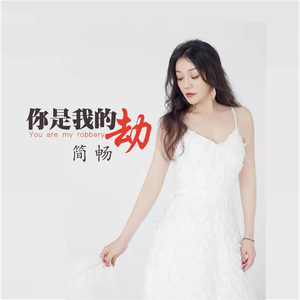 你是我的劫