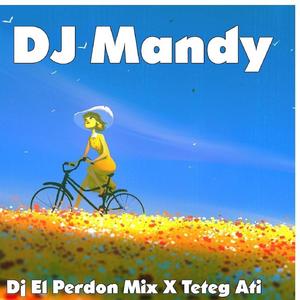 Dj El Perdon Mix X Teteg Ati