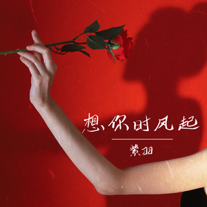 想你时风起