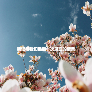 Beautiful Quiet Papers