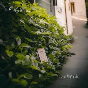小世界的转角