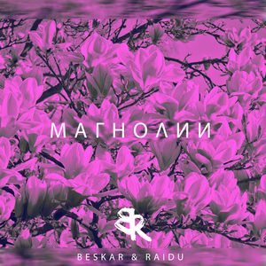 Магнолии