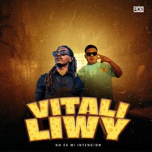 No es mi intencion (feat. vitali, liwy & Dakalii producer)