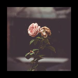 【免费商用Free beat】雨夜-80bpm-Emin