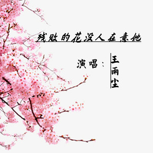 残败的花没人在意她