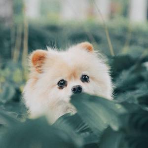 "By Sea" - Nujabes Jazz Hiphop Type Beat