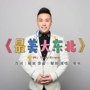 最美大东北（DJ沈念版）