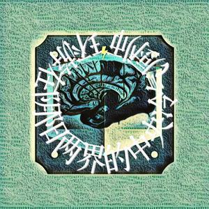 在舞池中盘旋的印第安老斑鸠